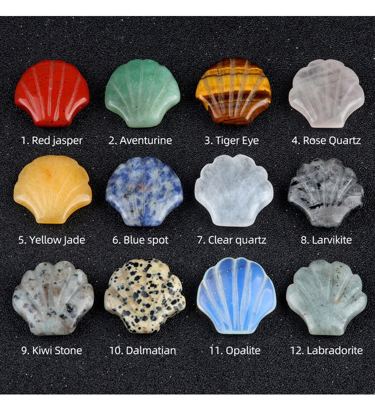 Natural crystal agate 30mm shell Fun card ocean carving kid's gift Home decoration