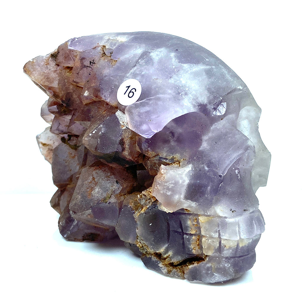 Amethyst Cluster Skull Carved Healing Living Minerals Gemstone Minerals Room Decoration