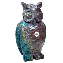 Load image into Gallery viewer, Ocean Jasper Wolf Elephant Owl Carving Crystal Animal Healing Energy Stone Fashion Home Decoration