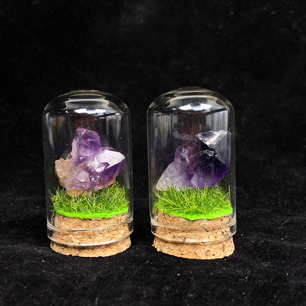 Small Size Amethyst Root & Cluster Collection