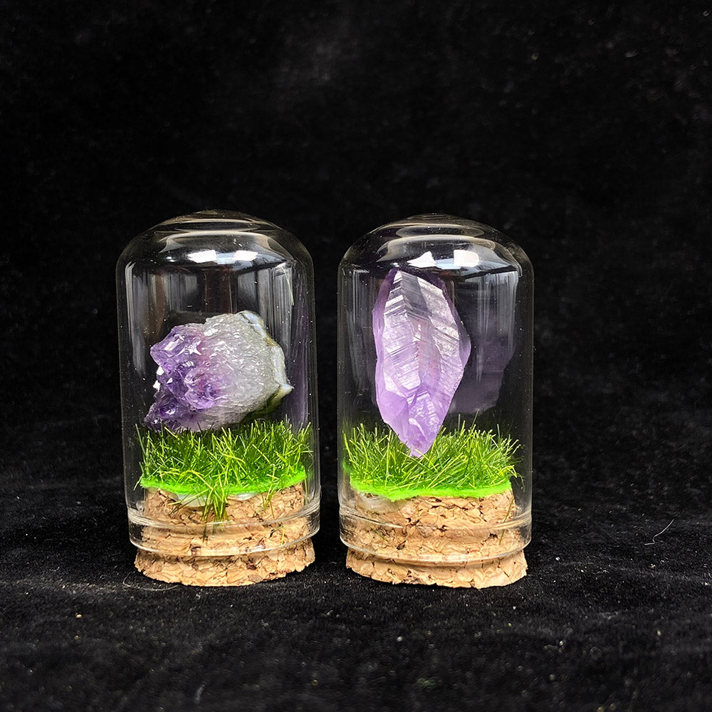 Small Size Amethyst Root & Cluster Collection
