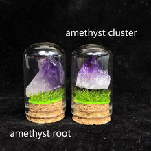 Load image into Gallery viewer, Small Size Amethyst Root &amp; Cluster Collection