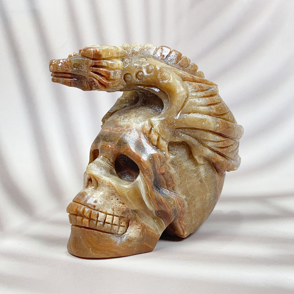 Pterosaur Skull Statue Healing Crystal Reiki Carved Crafts Home Decoration