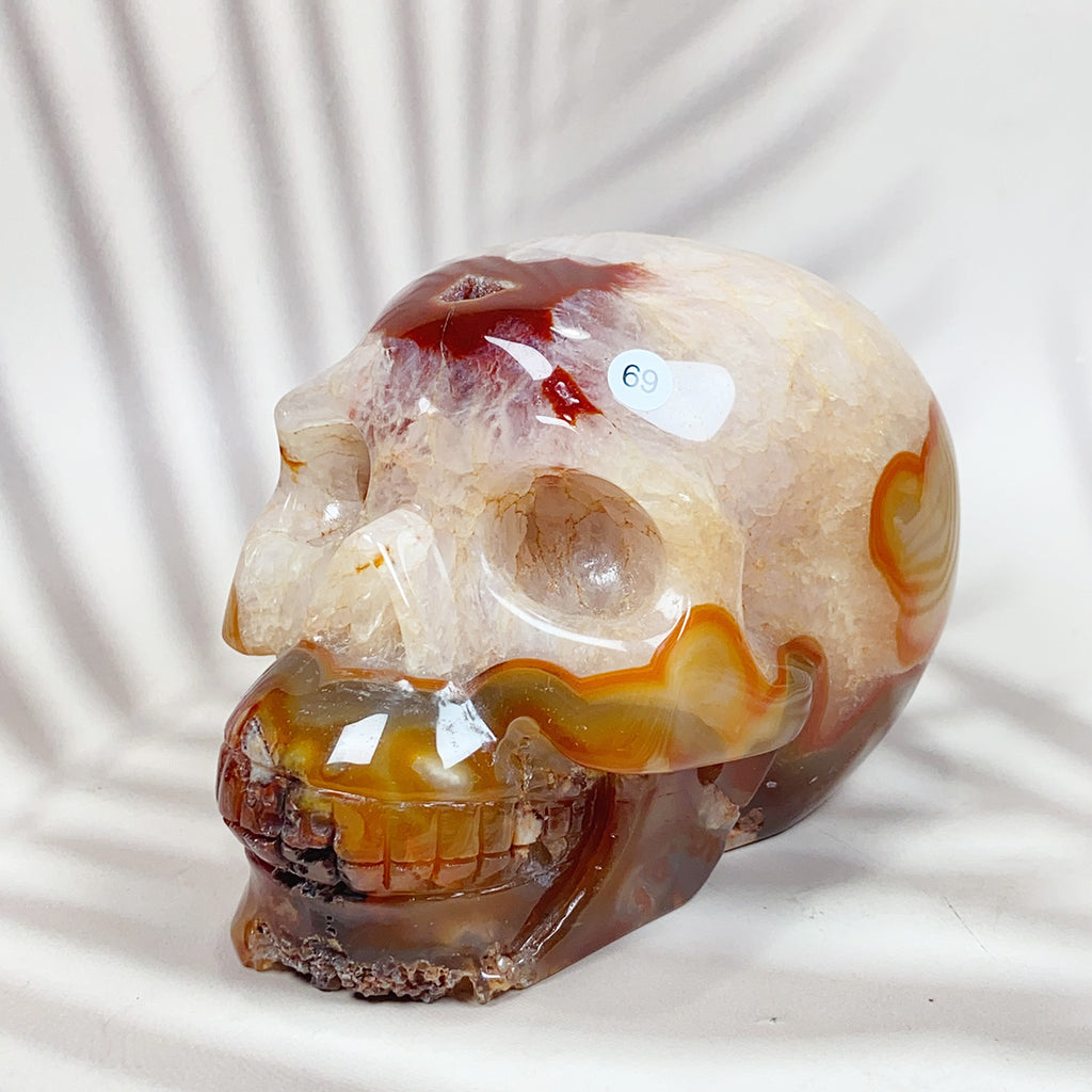 Red Agate Carnelian Skull Carving Quartz Reiki Crystal Healing Minerals Home Decoration Stone