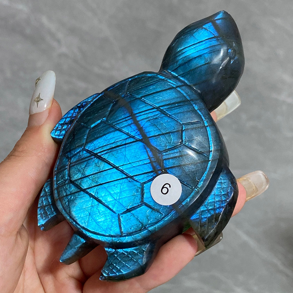 Blue Labradorite Sea Turtle Carving Handmade Polished Crystal Animal Statue Home Decoration