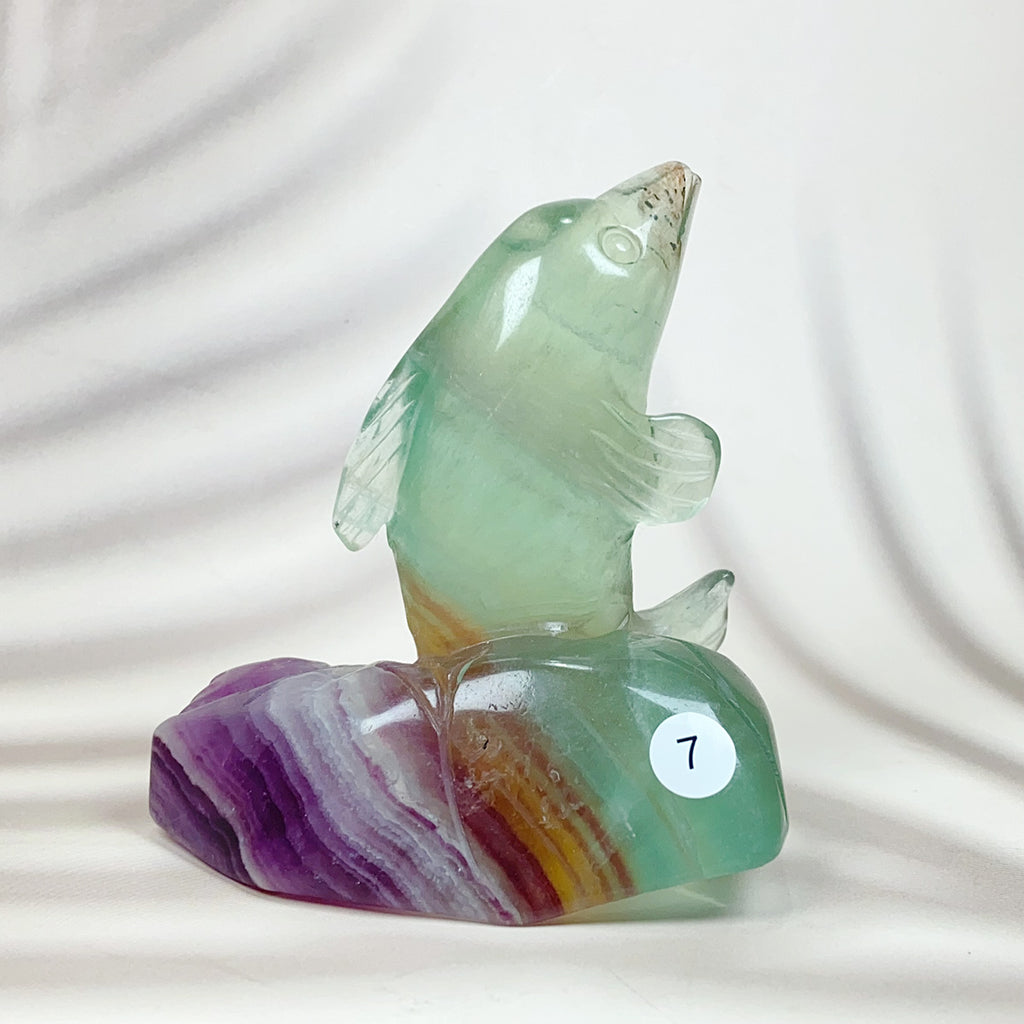 Colorful Fluorite Marine Organism Carving Crystals Healing Home Decorations Gemstones
