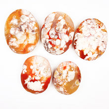 Load image into Gallery viewer, Beautiful Red Flower Agate Palm