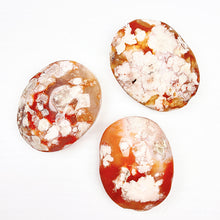 Load image into Gallery viewer, Beautiful Red Flower Agate Palm