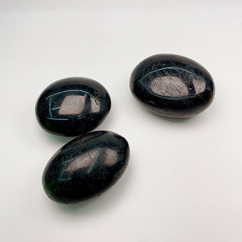 Black Tourmaline Palm