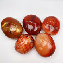 Load image into Gallery viewer, Carnelian Palm