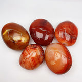 Carnelian Palm