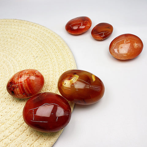 Carnelian Palm