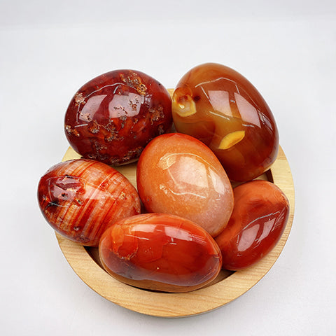 Carnelian Palm