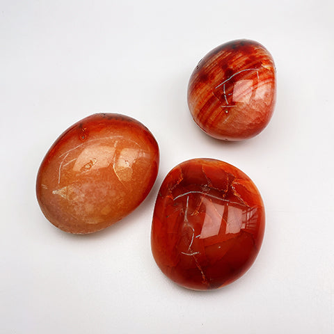 Carnelian Palm